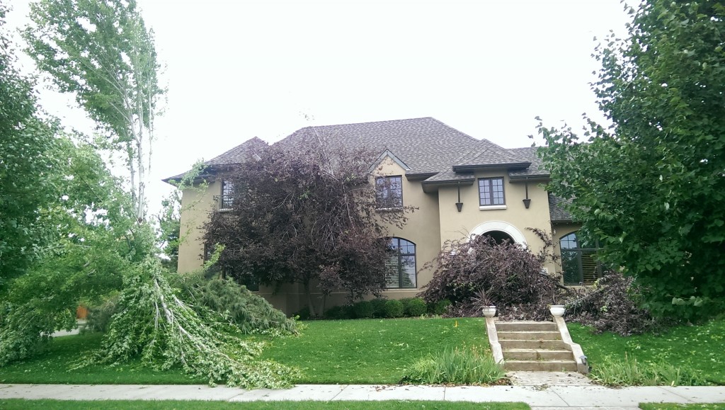 Either that tree really wants in the house or there was a meteorological event.