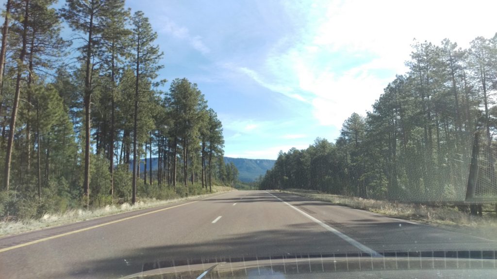 Ditto for Apache-Sitgreaves National Forest